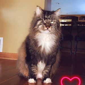 Meet your Posher, Lindsay